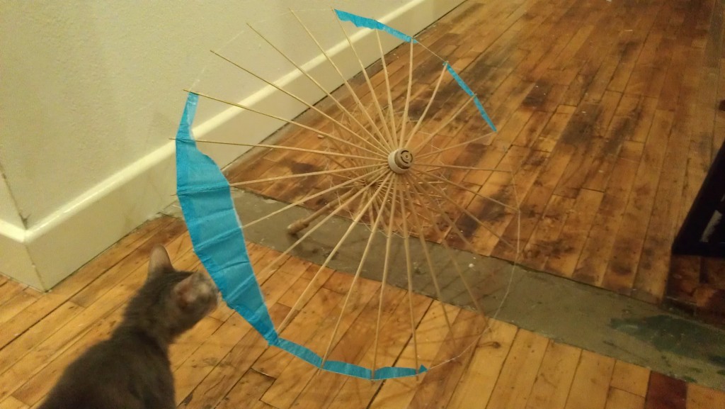 IMAG0855